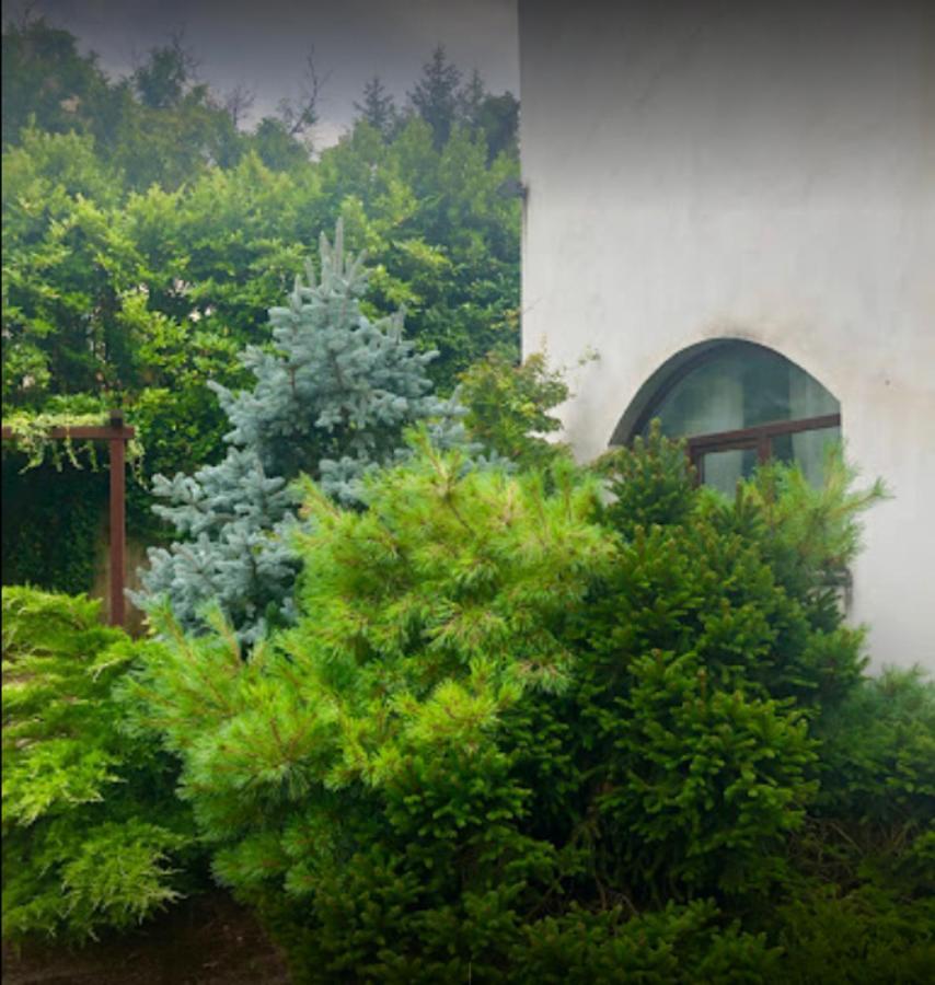 דירות Carbognano Il Giardino Segreto מראה חיצוני תמונה